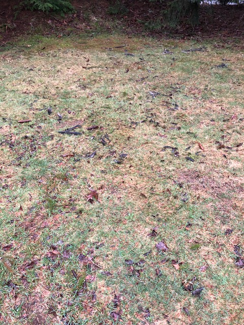 57770944953__74E55B49-BF9A-4BB7-9C6F-8A0FFEC87B6E